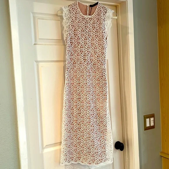 zara nude lace dress Zara Woman Nude Pink Lace Embroidery Cap Sleeve VNeck Lined A-line Dress